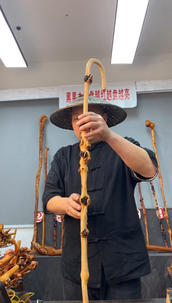 【闪购商品】黑果木其他黑果木701