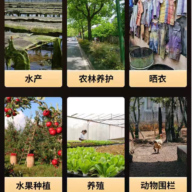 开散镀锌包胶钢丝绳  防风绳，捆绑钢丝绳，棉芯搭棚外架绳