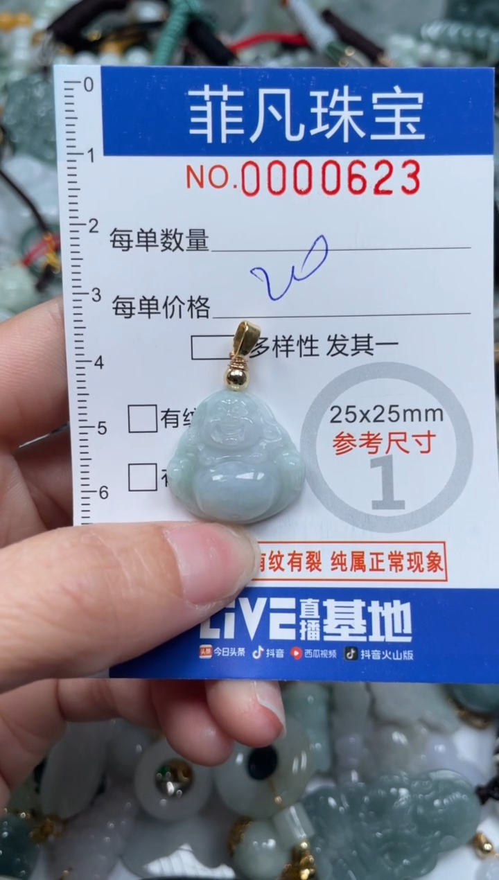 【闪购商品】翡翠颈饰未镶嵌00..0623