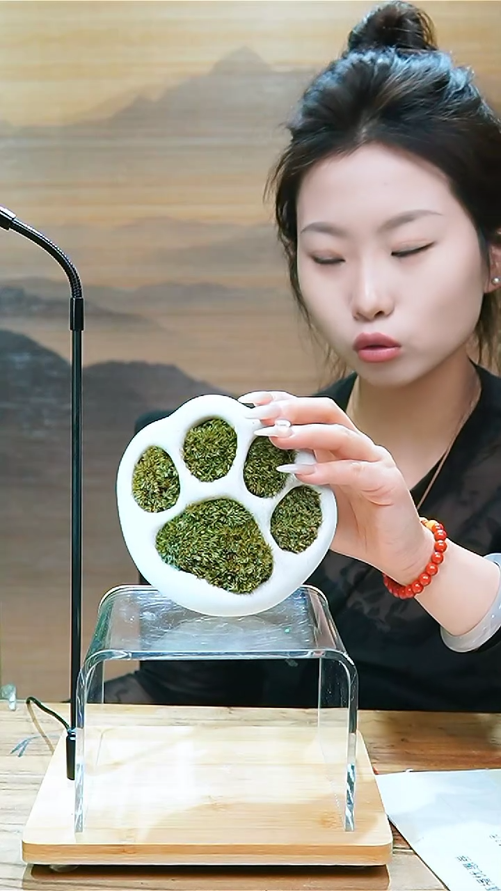 【闪购商品】孤品猫爪微景观