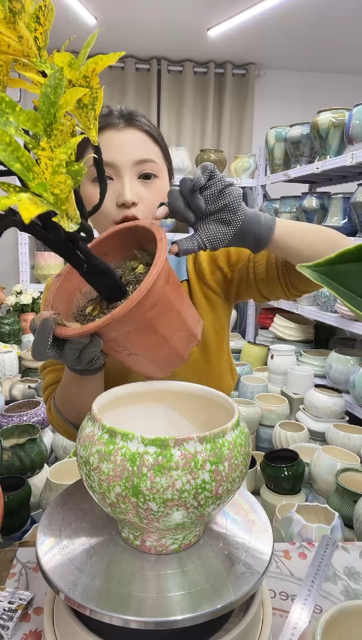 11.28直播链接  高度：16  口径：16