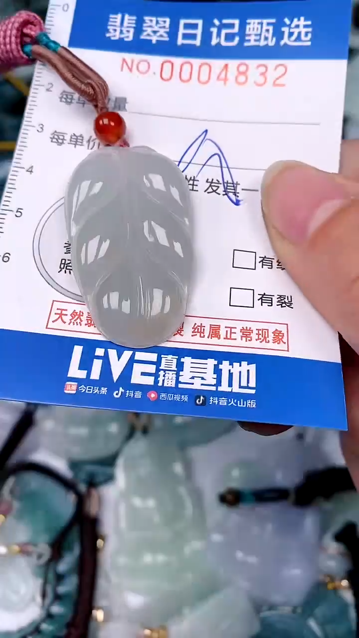 【闪购商品】翡翠颈饰未镶嵌00004832