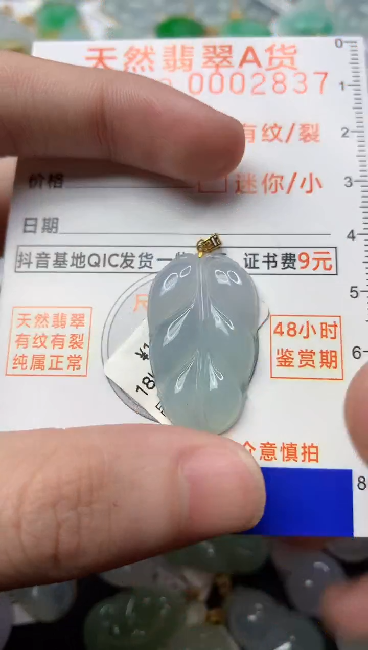 【闪购商品】翡翠颈饰18K金镶嵌5............