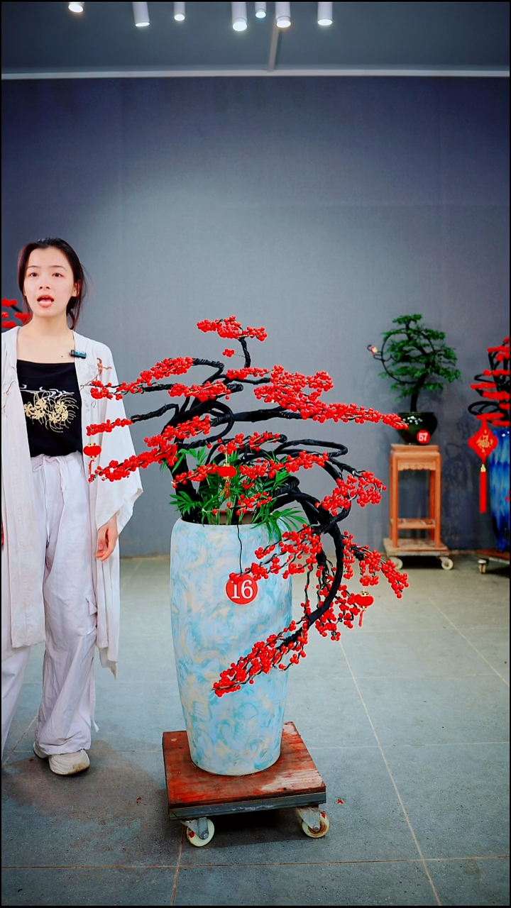 当前无花朵，栽培后可花朵对*胡一物一拍绿植