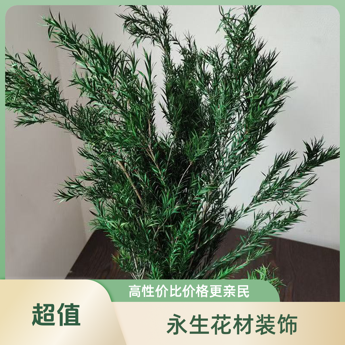 永生千层金北欧风真花干花礼盒千层金家居装饰插花材料