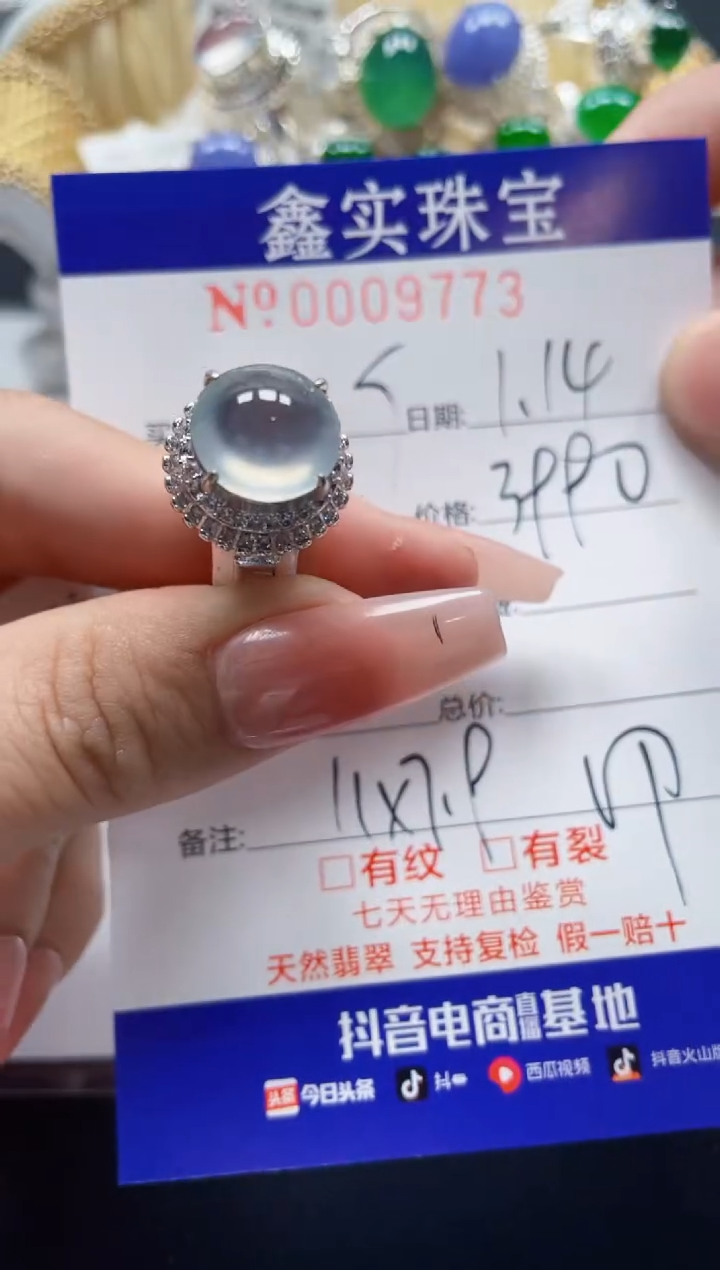 【闪购商品】翡翠颈饰未镶嵌/97730000