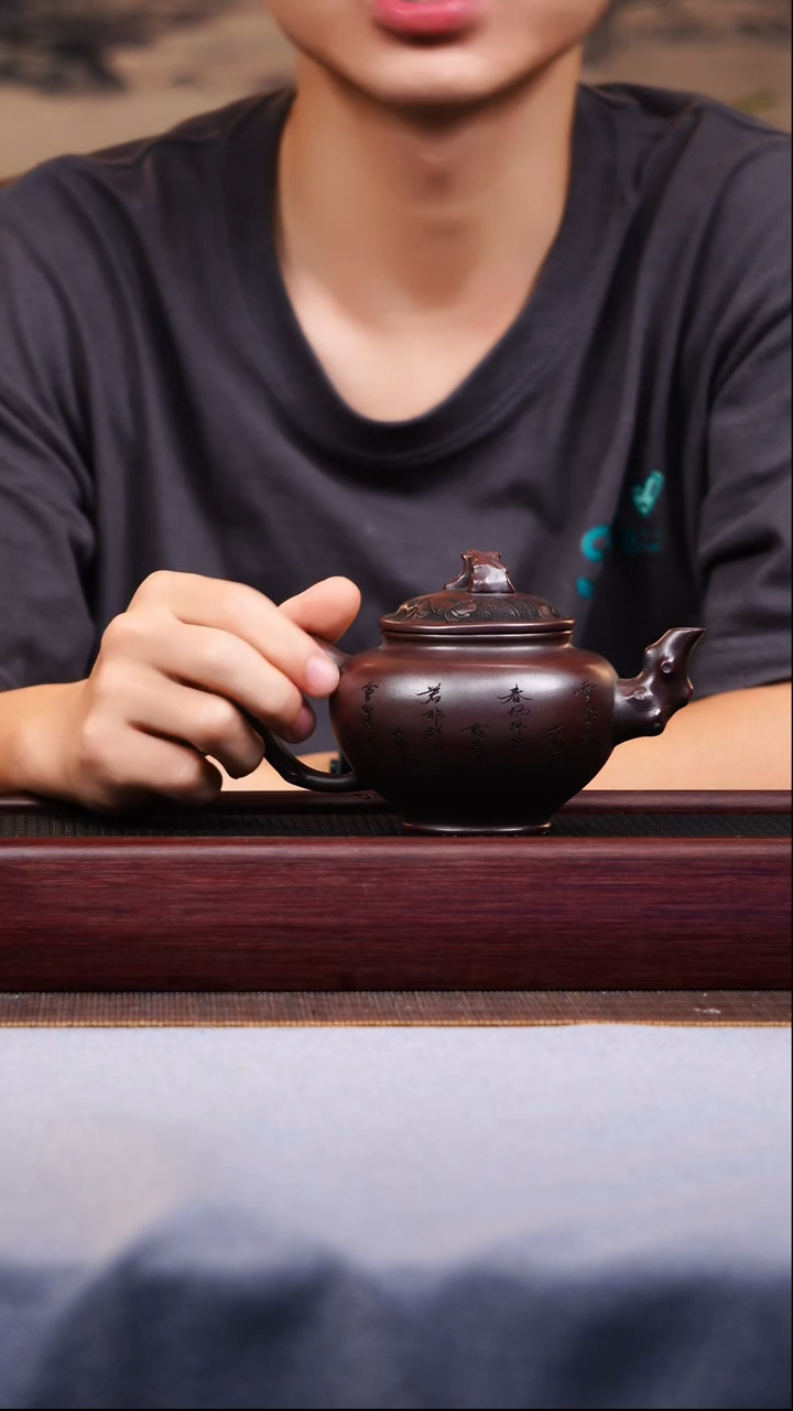茶壶紫砂宜兴原矿紫砂作品  梅抱春
