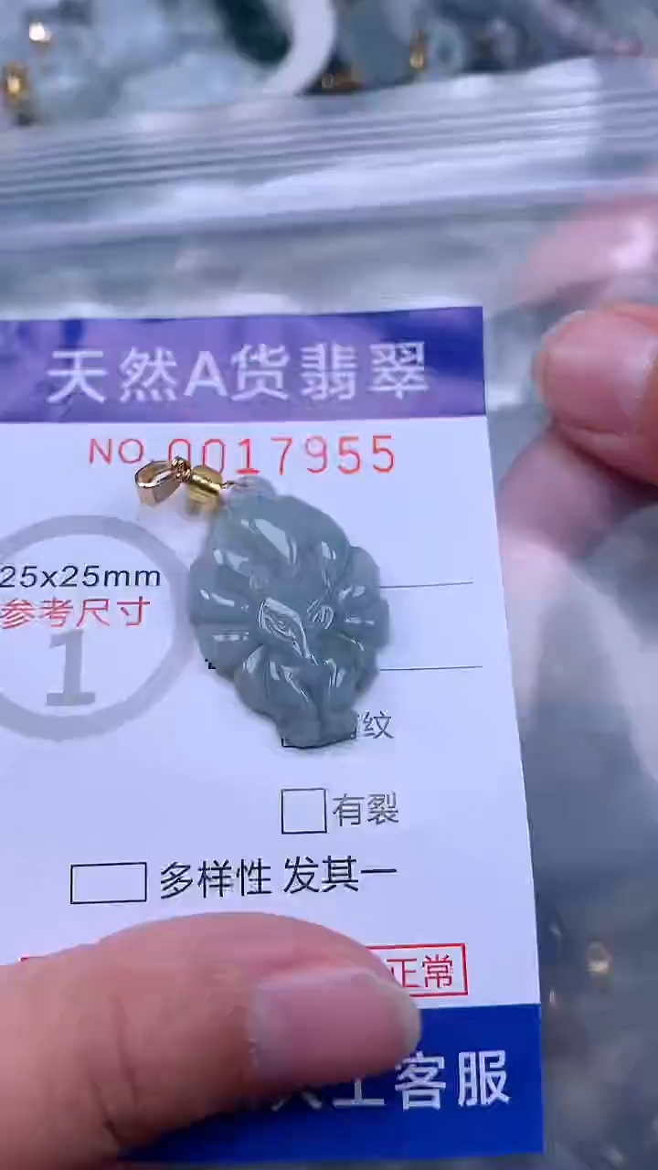 翡翠未镶嵌吊坠(不含链)1