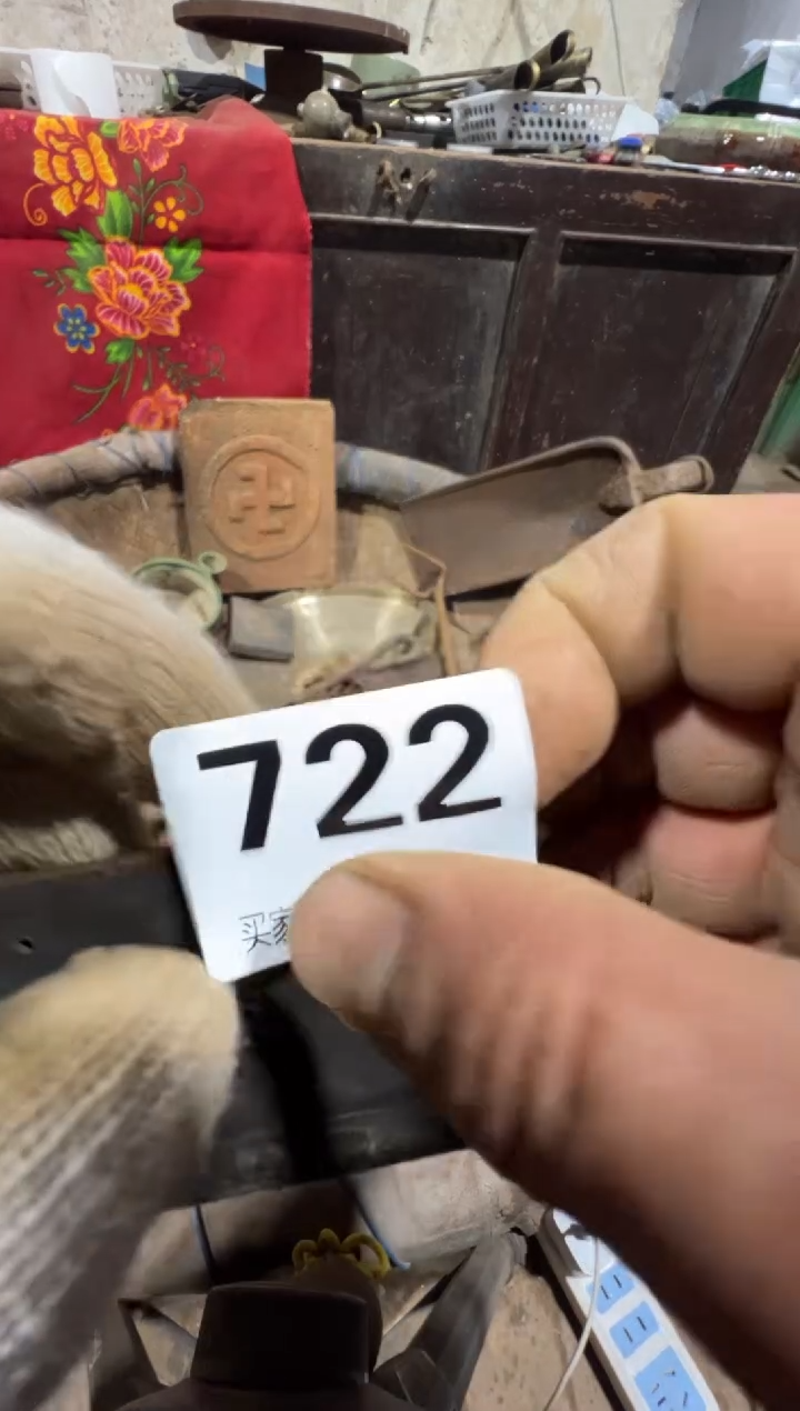 退*堂08180老王直播间专属链接