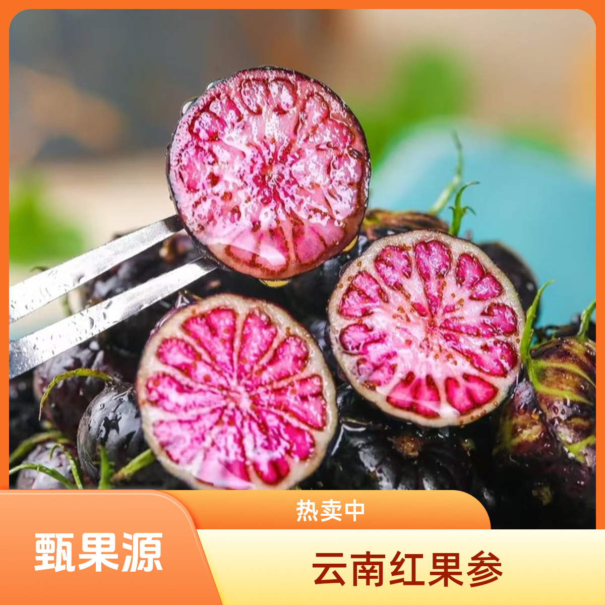 正宗云南红果参蜘蛛果新鲜采摘稀有高原水果酸甜多汁