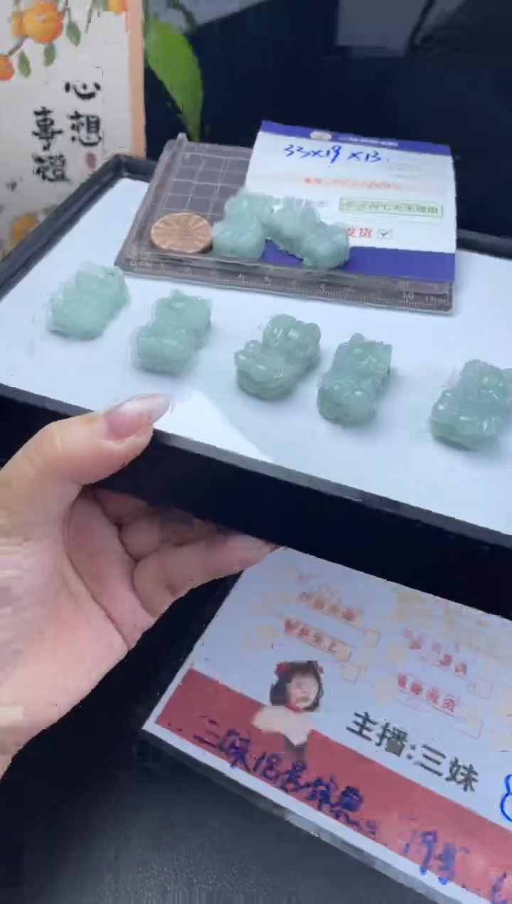 【闪购商品】翡翠挂件未镶嵌FL29大貔貅CP多样性发其一配绳