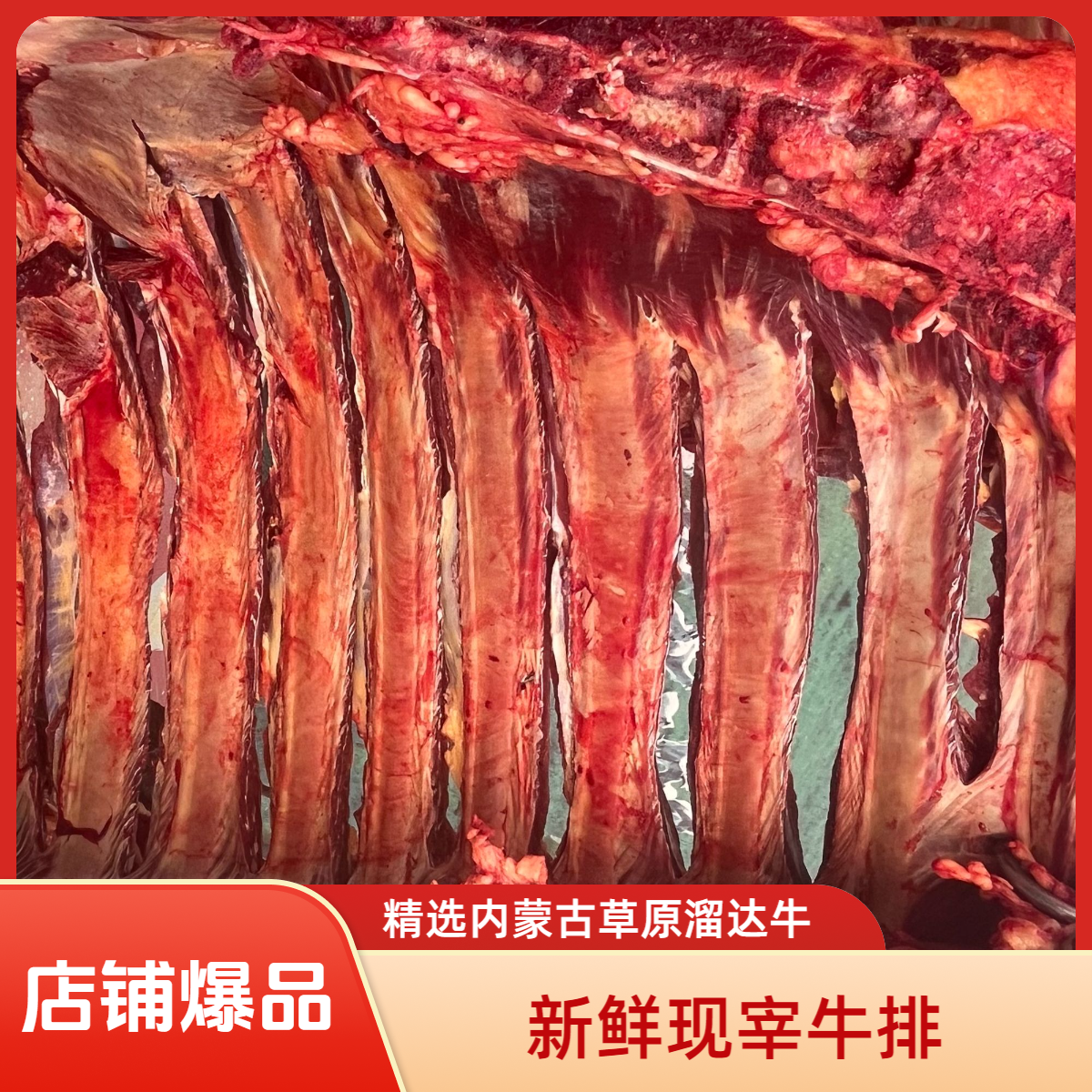 内蒙古乌拉特草原草地牛 精品牛肋排 