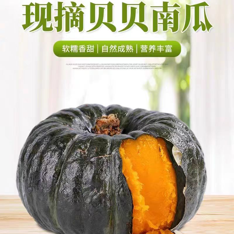 【次日达】贝贝南瓜粉糯香甜1kg今天拍明天送达新鲜