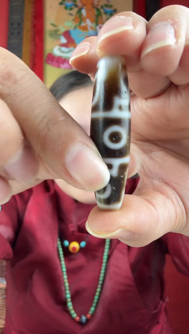 无非金属黑褐三眼