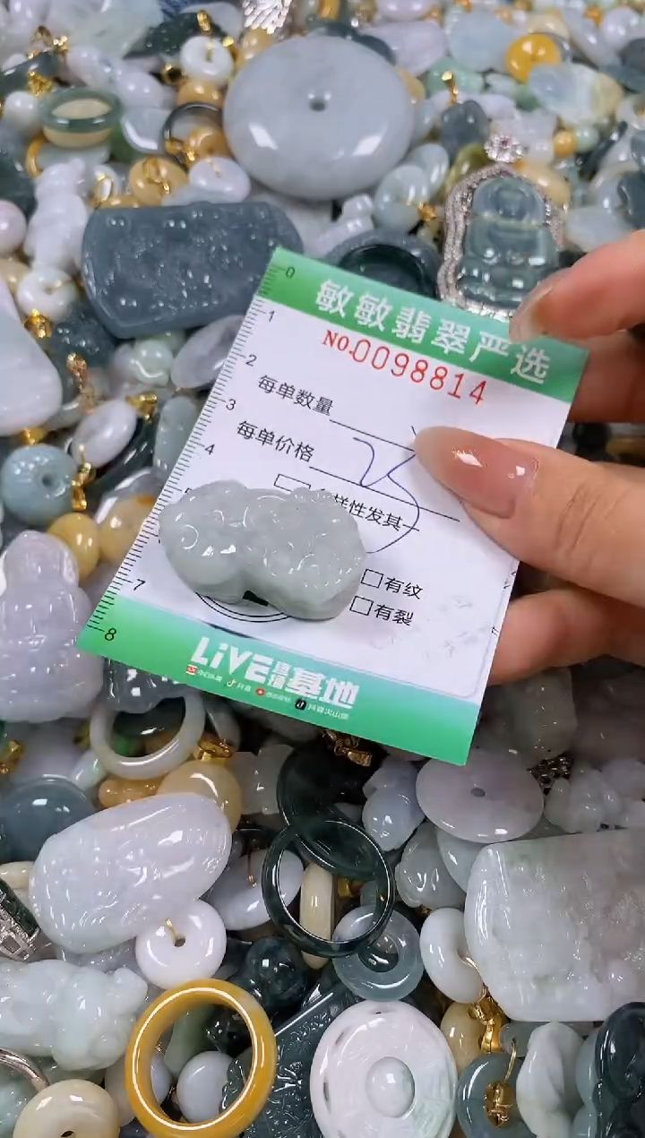 【闪购商品】翡翠颈饰未镶嵌闪购0098814