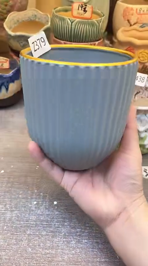 @@陶瓷多肉花盆Z379