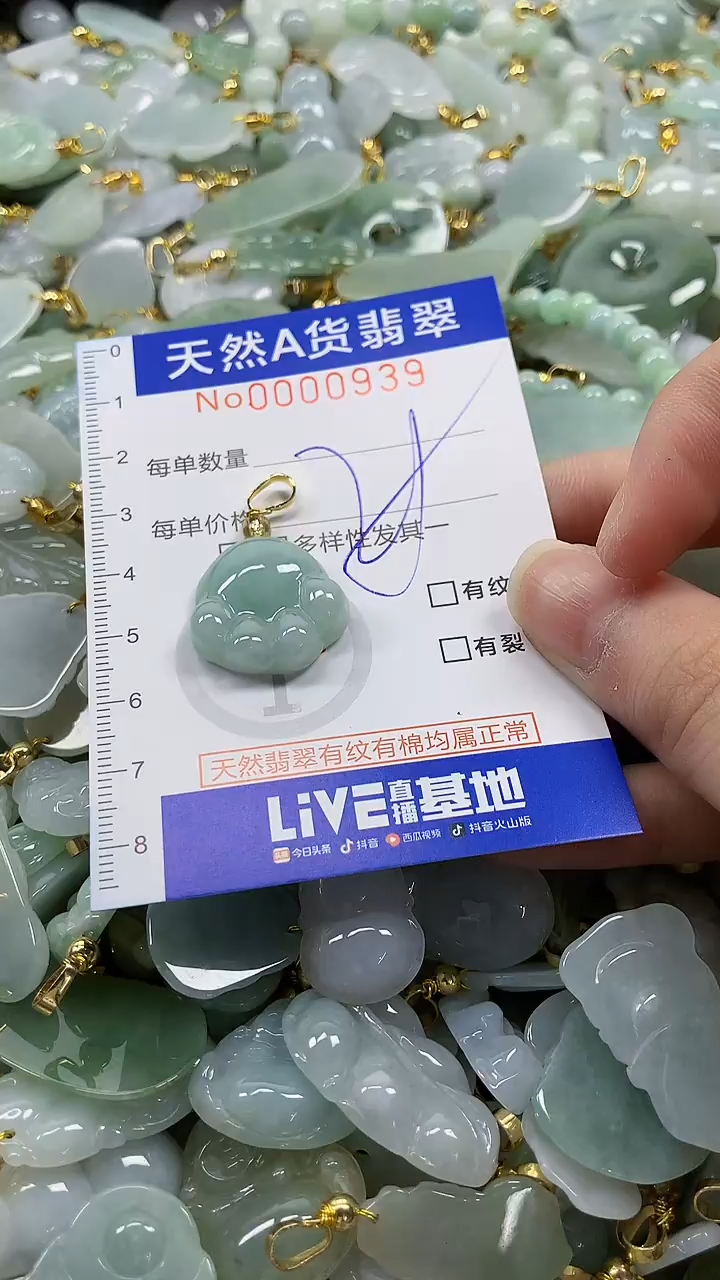 颈饰未镶嵌翡翠纯天然a货翡翠