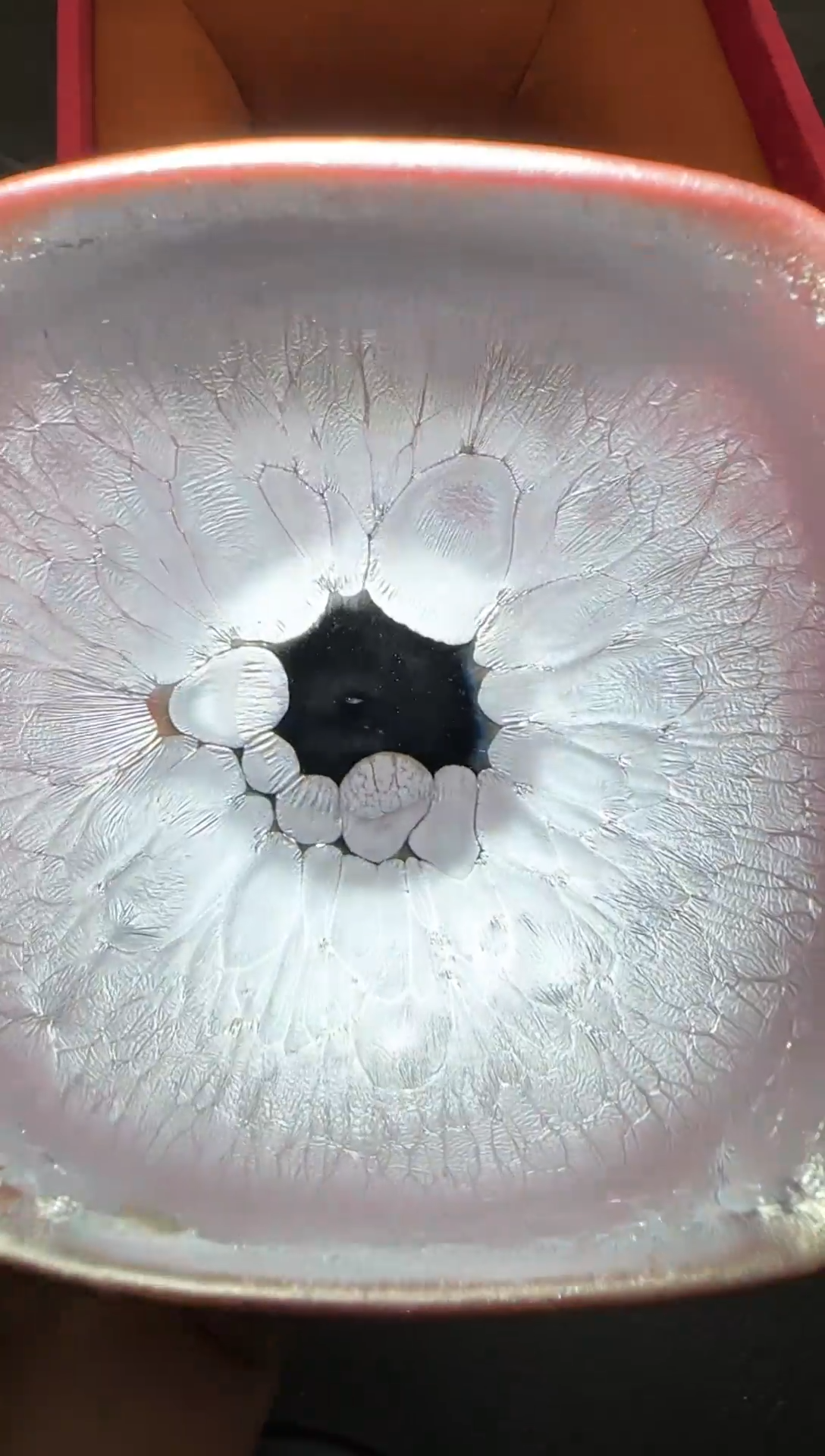 茶盏248号黄涛铠甲