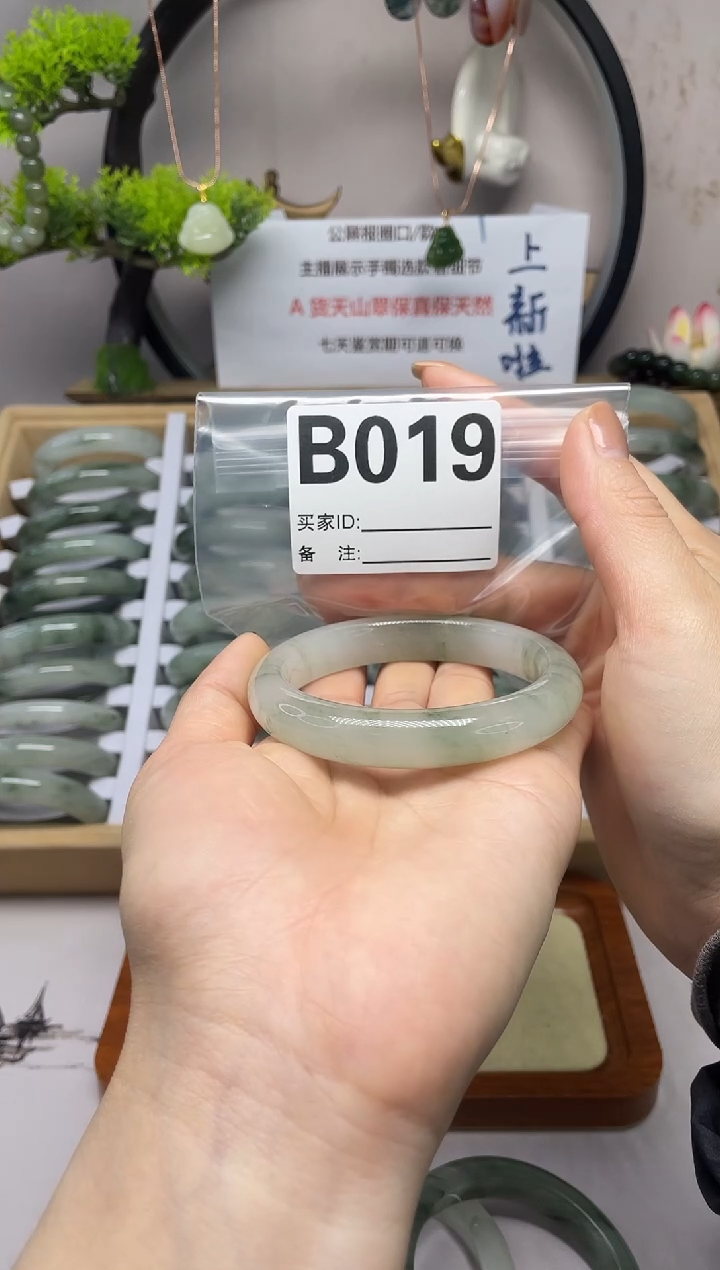【闪购商品】石英质玉（天山翠）手镯未镶嵌b019