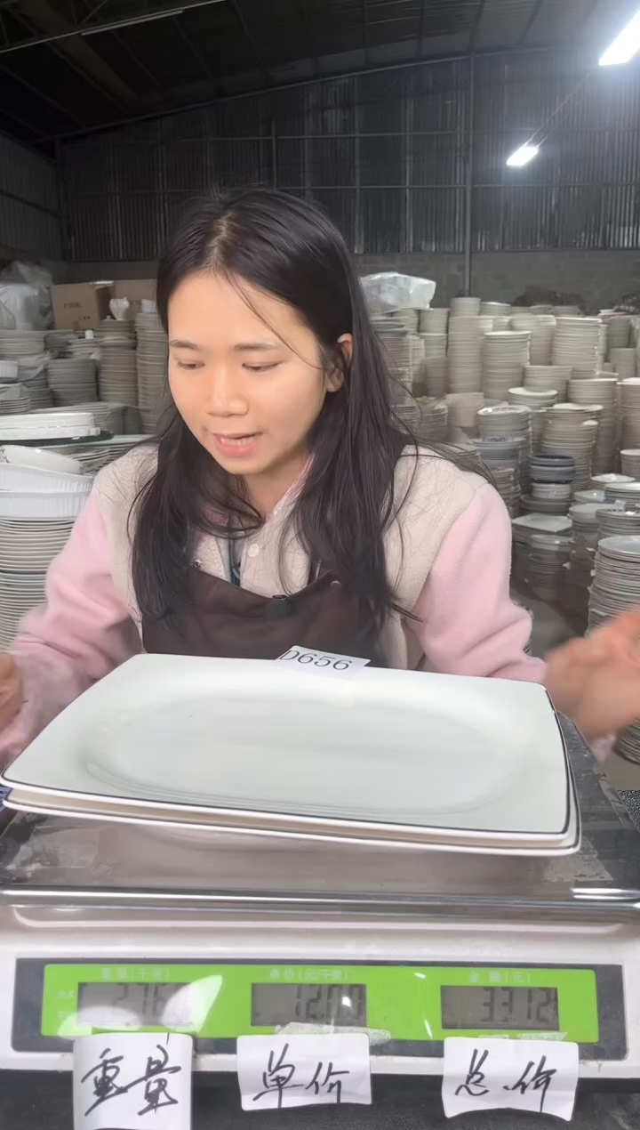 新骨瓷D656  12寸  2个