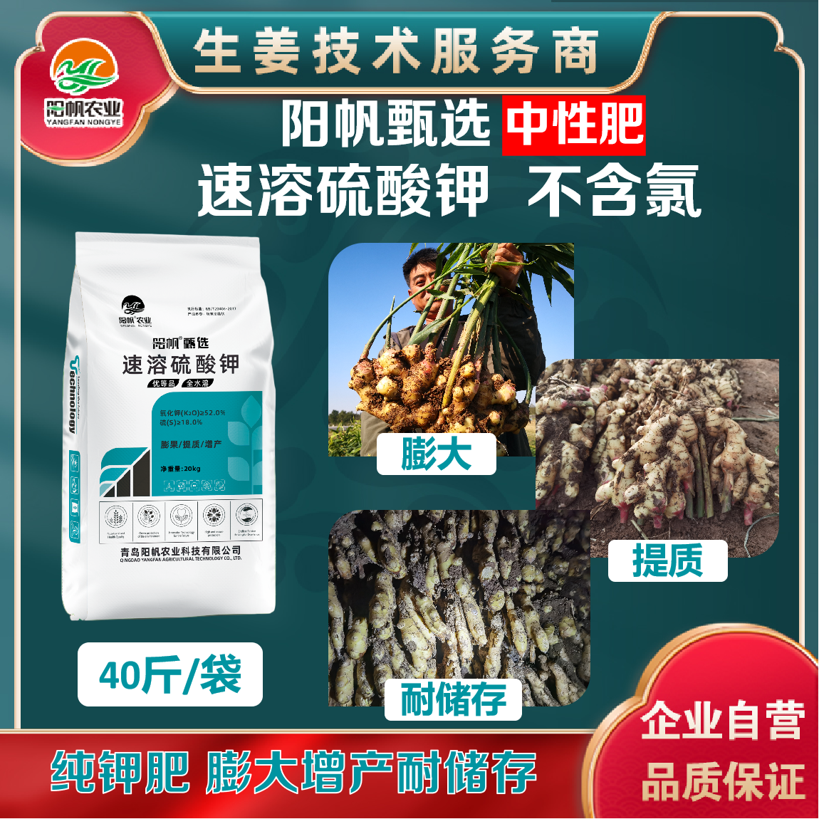 速溶硫酸钾 纯钾肥不含氯 中性肥吸收更快 膨大提质耐储存 