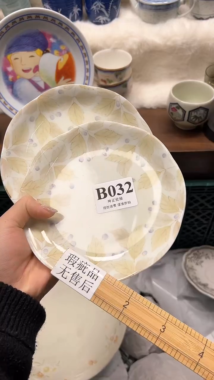 【闪购商品】瓷片          B032