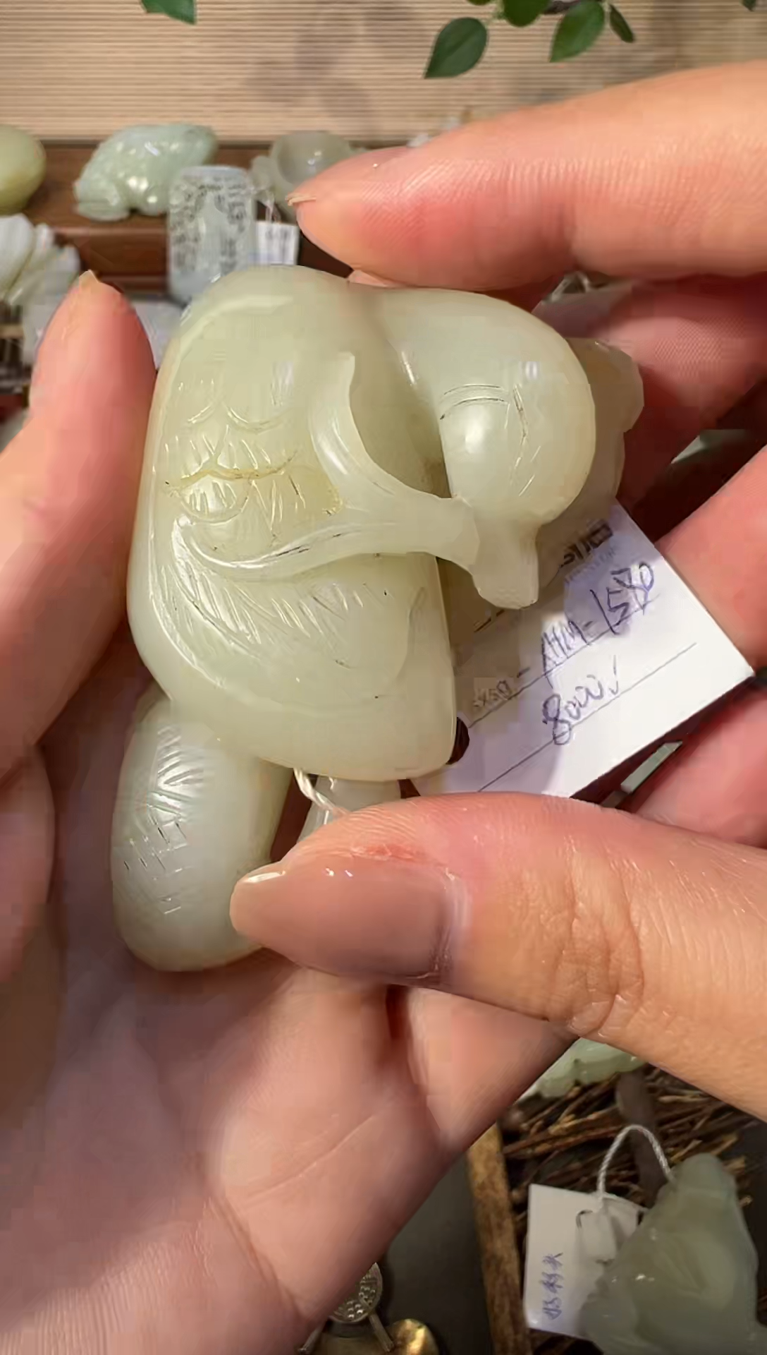 金࿇****࿇88888888888