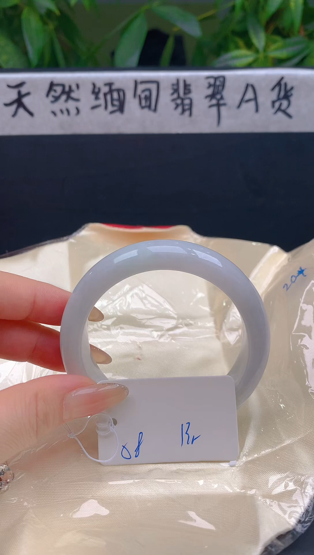 未镶嵌手镯翡翠113