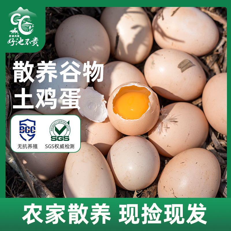 山林散养土鸡蛋新鲜营养30g左右/枚