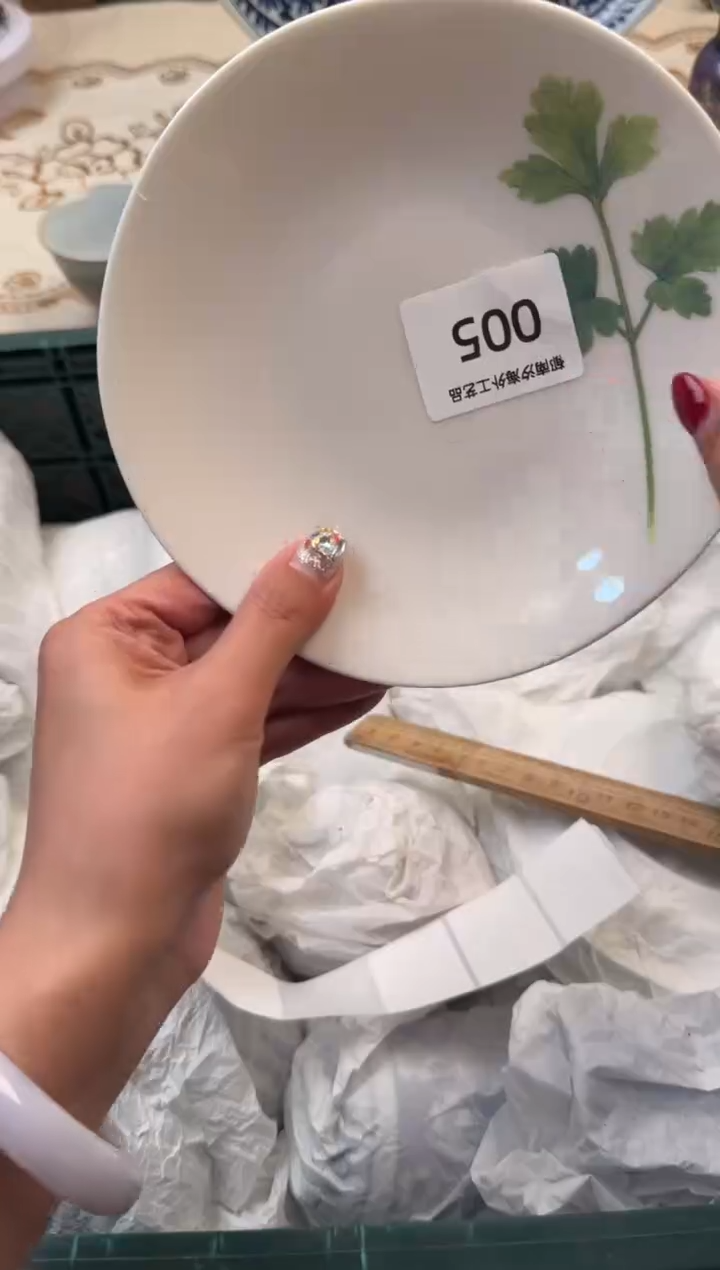 【闪购商品】瓷片A           005