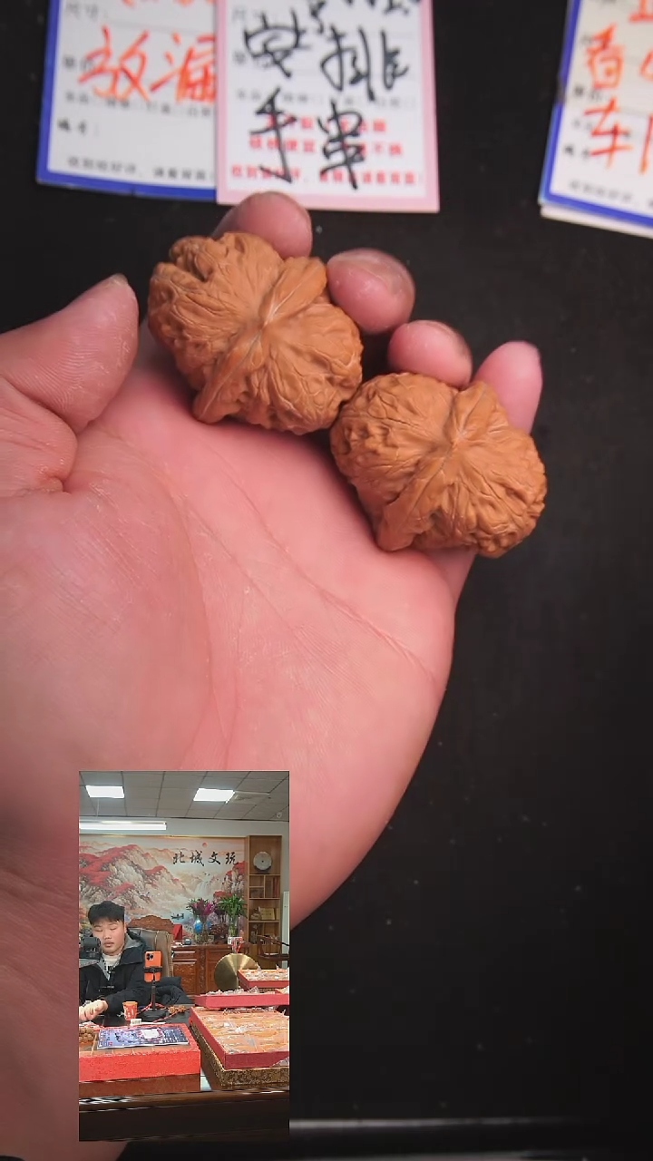 【闪购商品】文玩核桃把件37号45元宝 全品