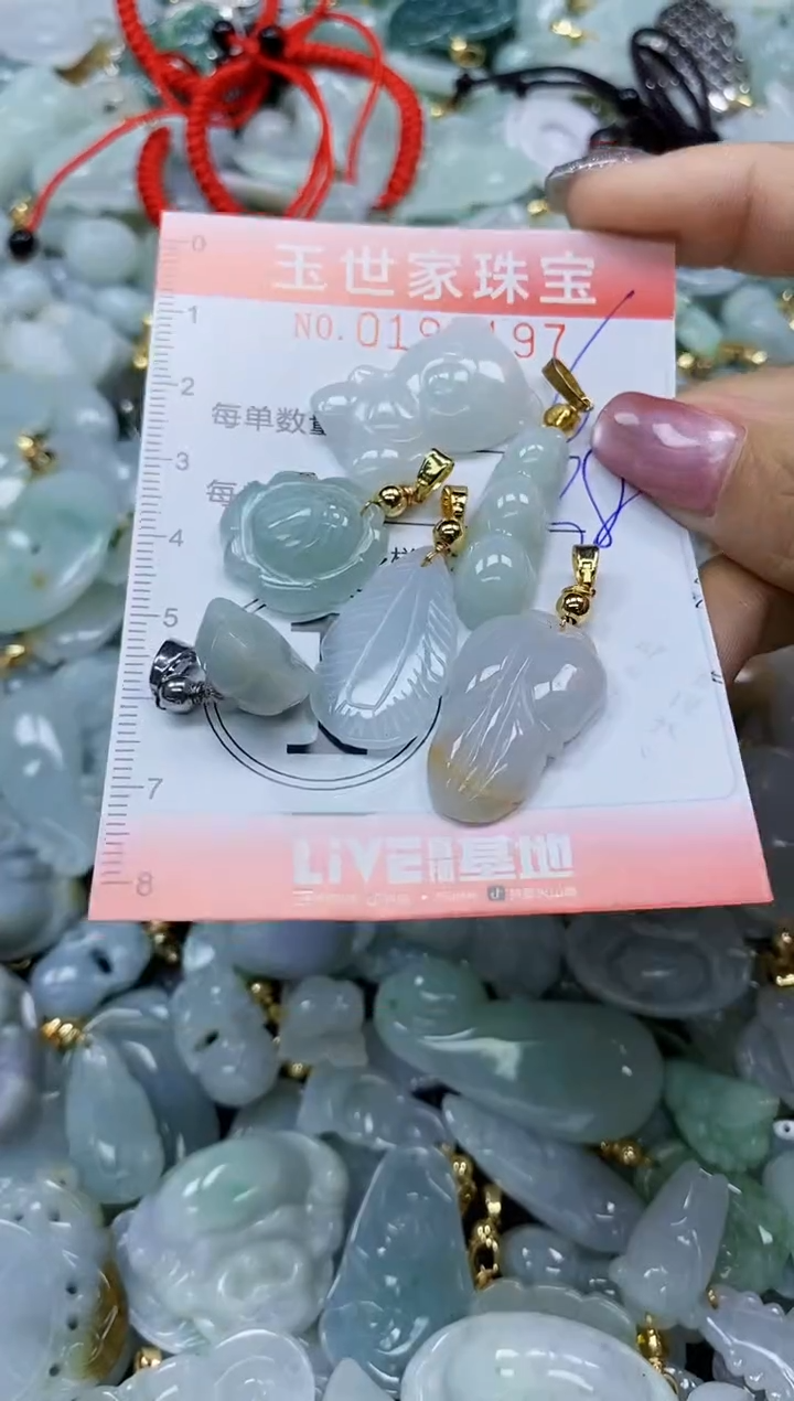 【闪购商品】翡翠颈饰未镶嵌闪购0195197