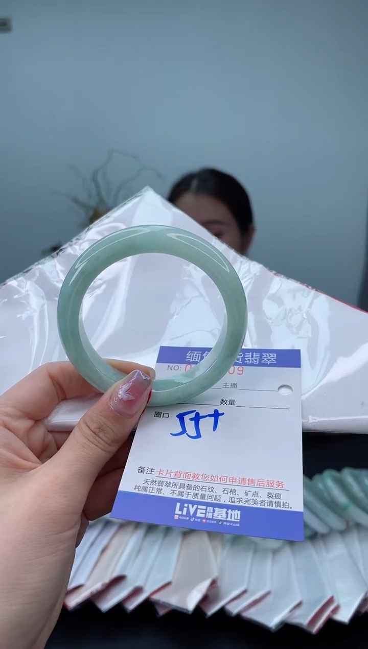 未镶嵌手镯翡翠2