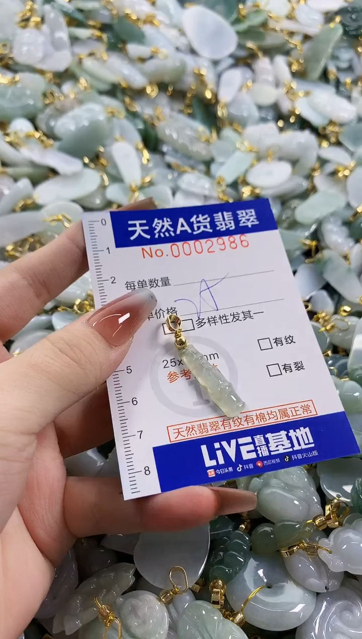 颈饰未镶嵌翡翠天然A货翡翠