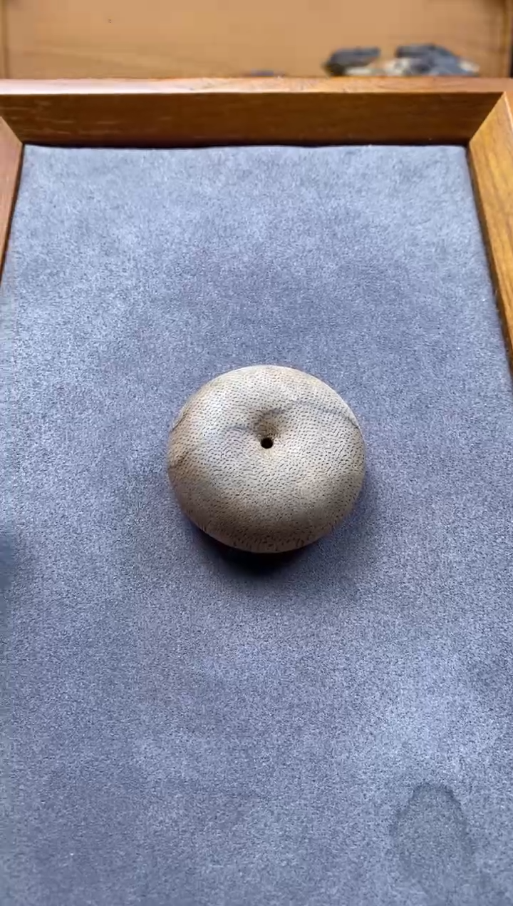 【闪购商品】沉香吊坠柬埔寨 平安扣