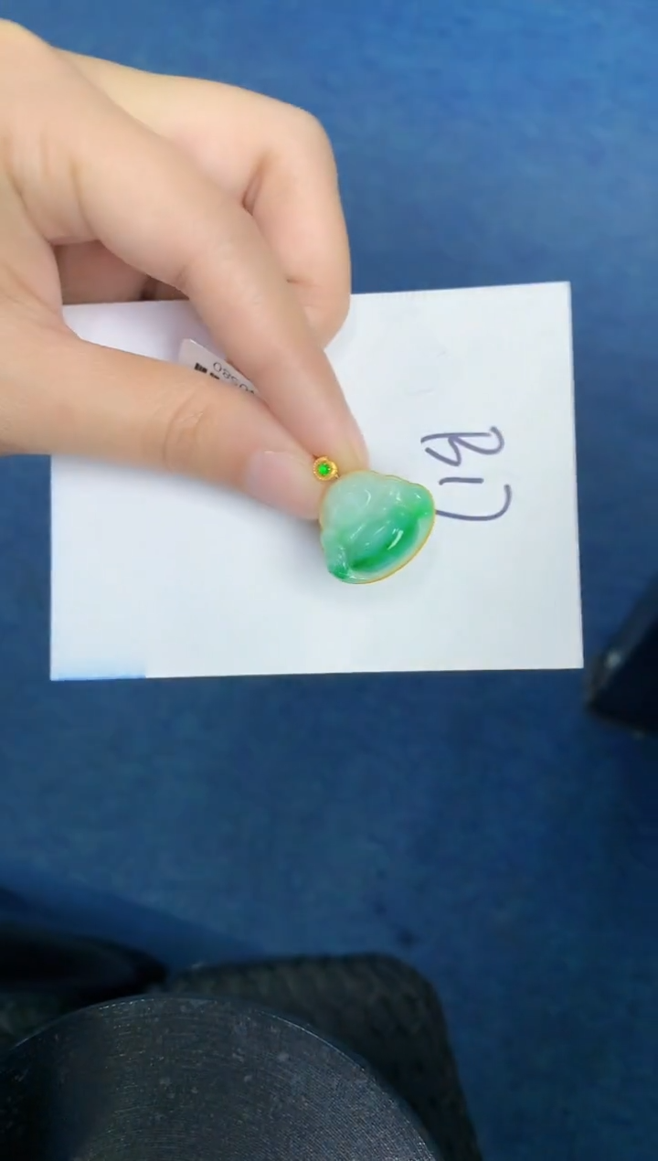 【闪购商品】翡翠颈饰18K金镶嵌0000000001