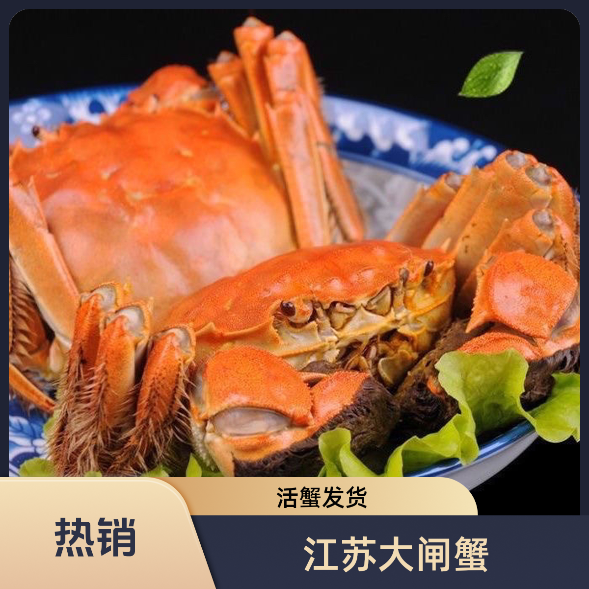 （公蟹）江苏大闸蟹全活发货公蟹单只1.8-2.2两2斤88元约10-12个河蟹