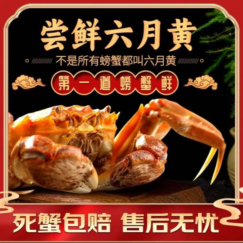 【江苏活蟹】河蟹 1.4-1.1两/只 包黄保活 顺丰次日达  不绑绳 江苏活蟹 福利品 2只