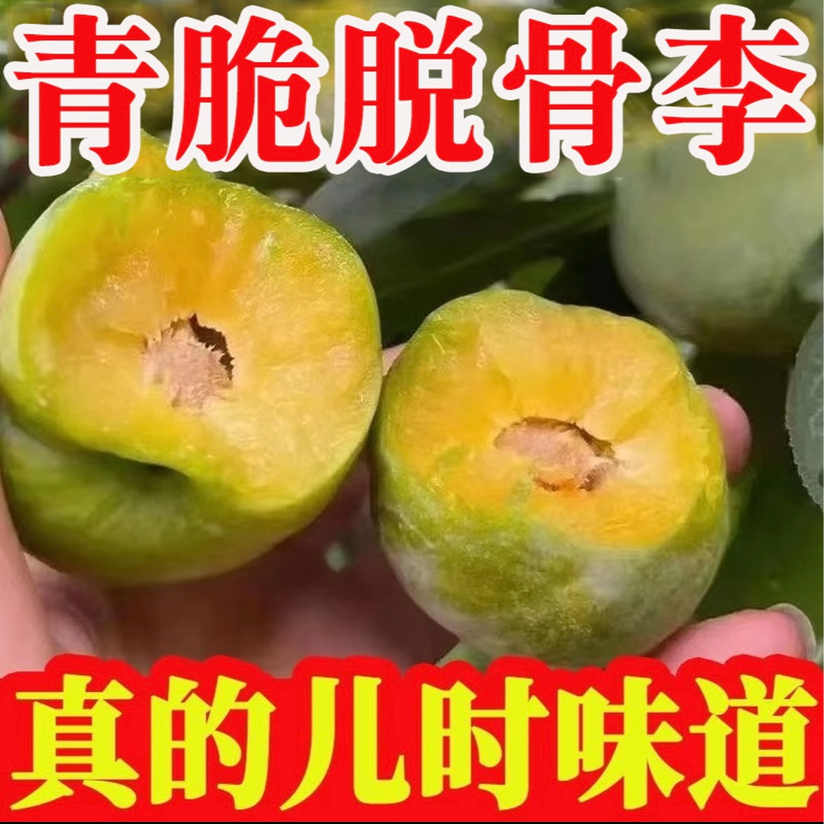 AAA青脆李脱骨李应季水果鲜甜多汁青皮李脆甜空心李子