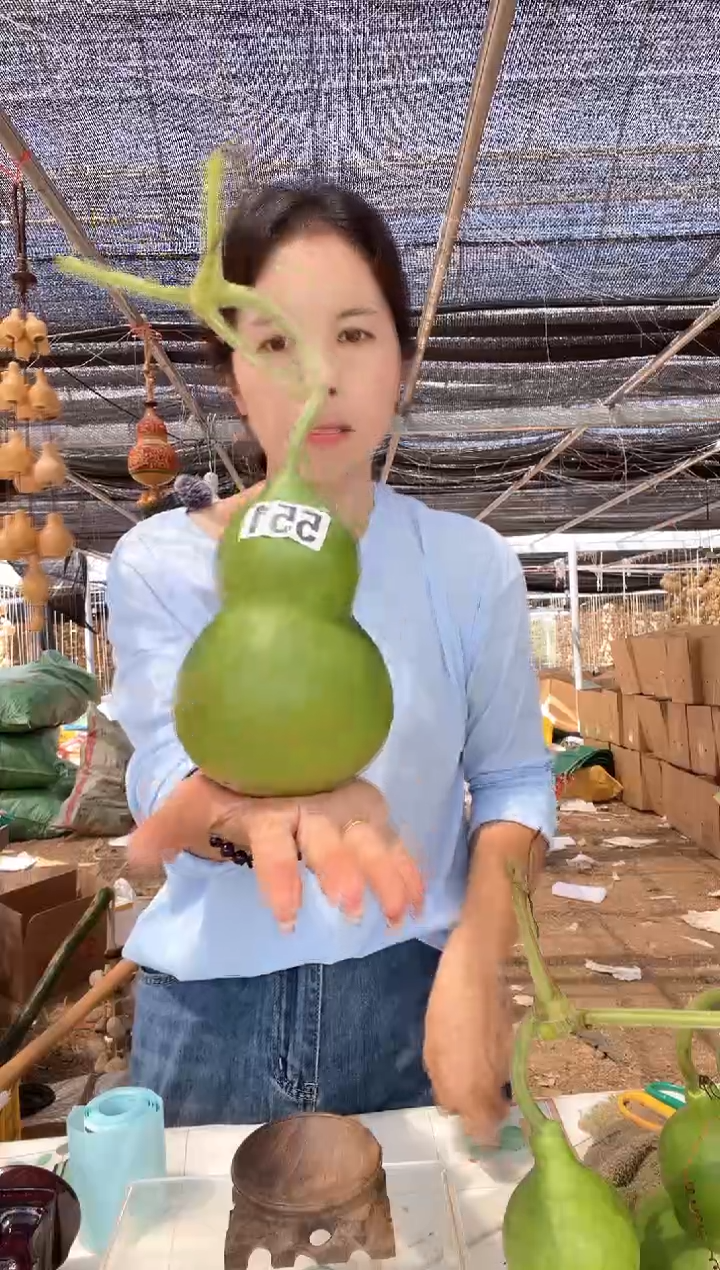 551天然葫芦摆件 一物一拍龙头不保售后