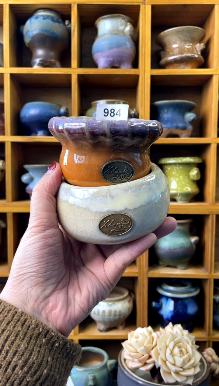 【闪购商品】陶984 内口6-7【 来自成人礼的特 】