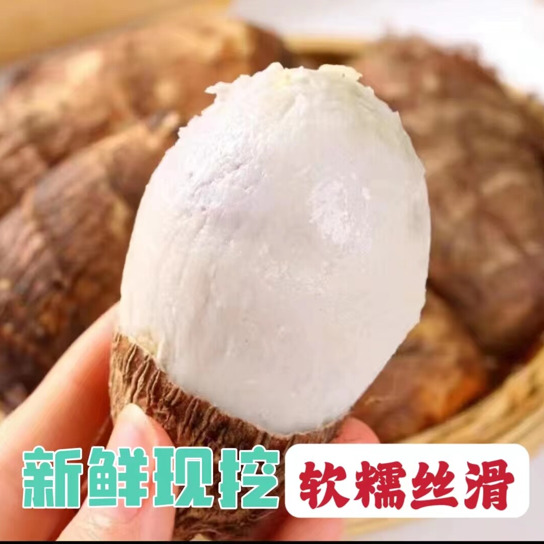  云南高山牛奶芋头应季现挖现发产地直销香甜软糯芋艿香芋新鲜芋