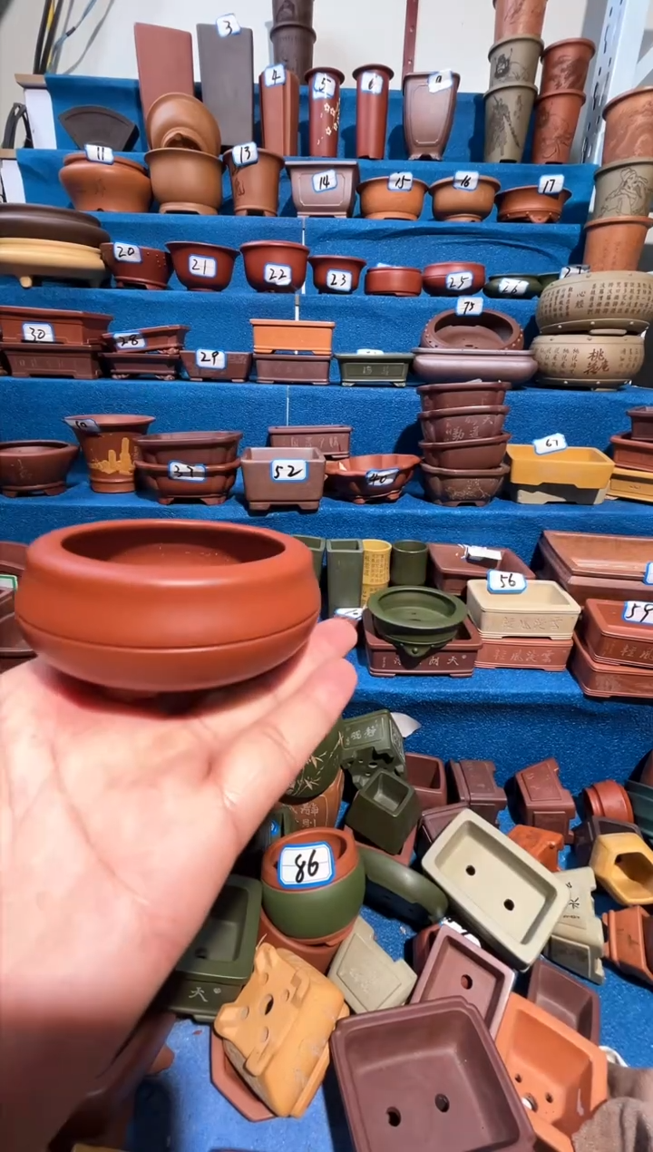 【闪购商品】紫砂紫砂花盆6.5*3