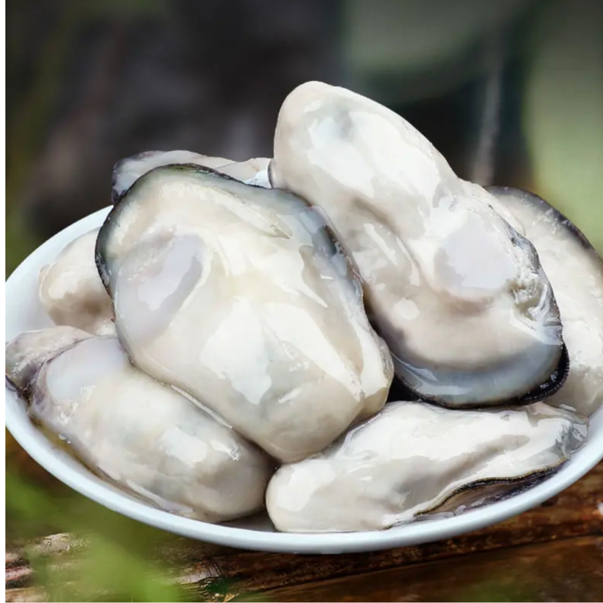 湛江本地带壳生蚝25左右/5斤，广东顺丰包邮，会有7%-10%的吐水