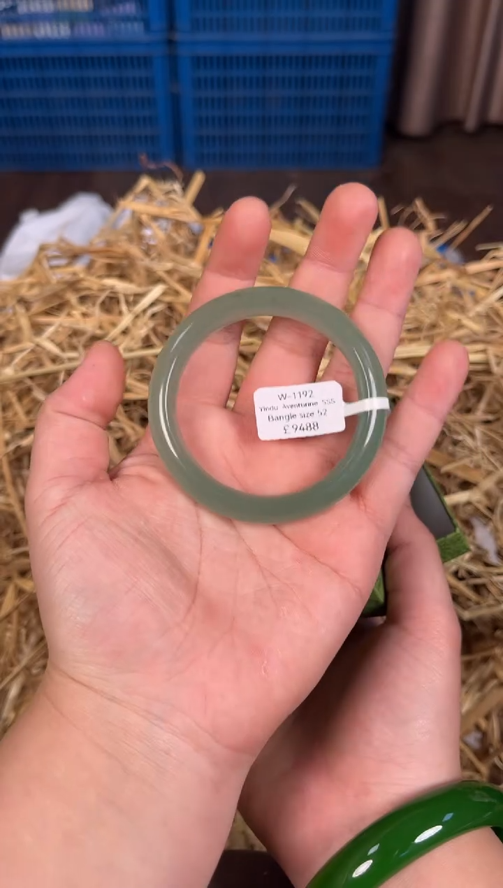 未镶嵌手镯石英质玉W1192