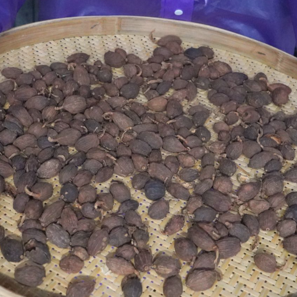 【一村一品】广西桂林自晒草果香料