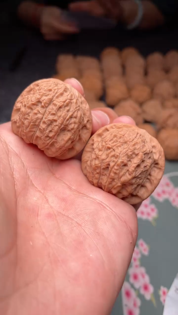 核桃a172  血麒麟 36尺