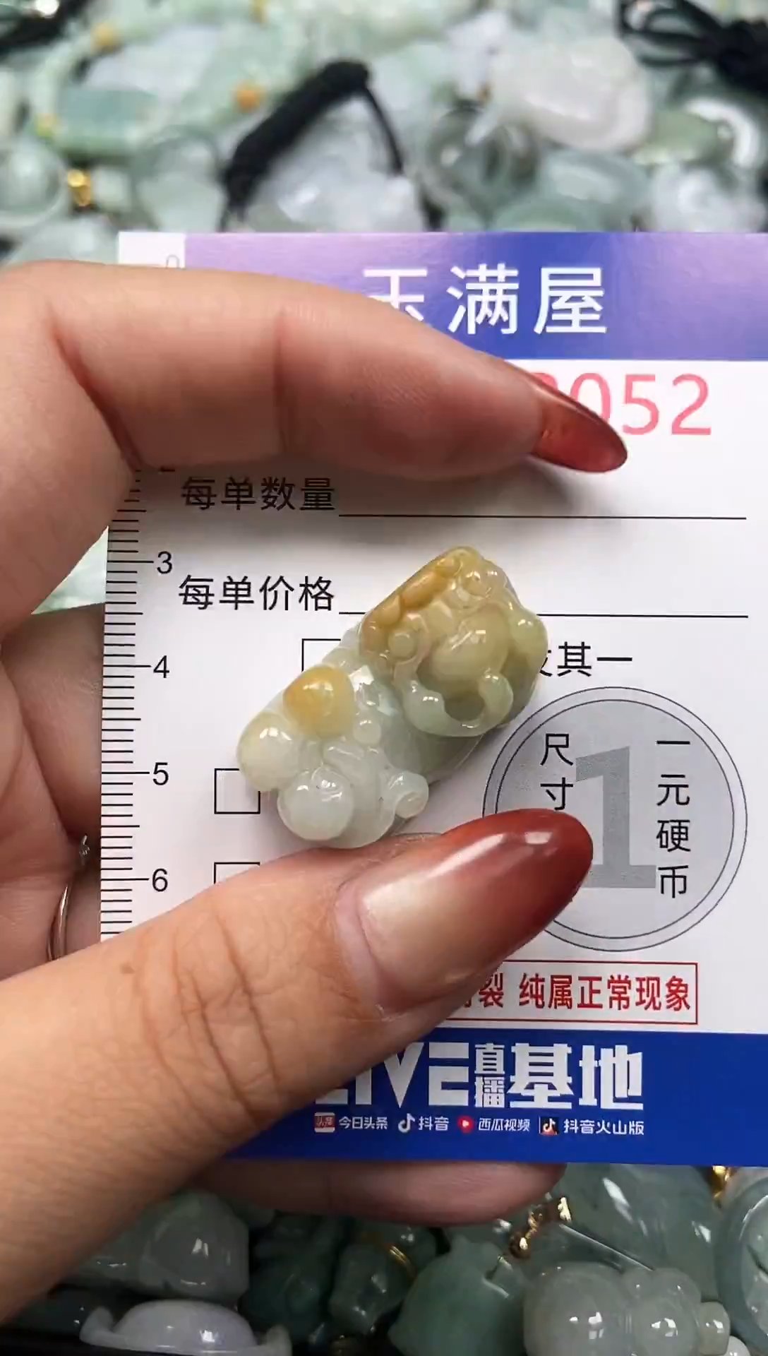 颈饰未镶嵌翡翠2052