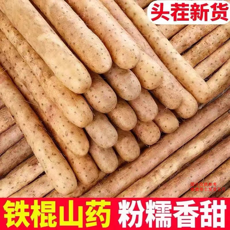 铁棍山药软糯产地直发营养香甜原产地40-50厘米