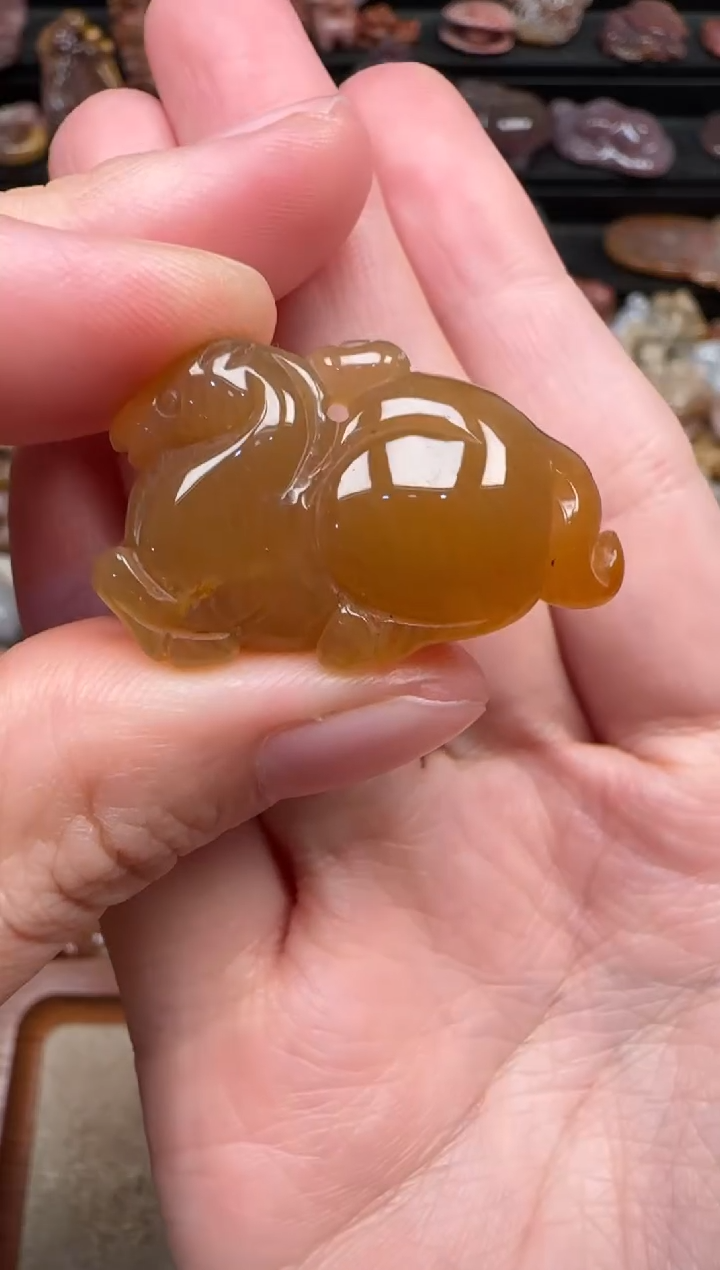 颈饰未镶嵌硅化珊瑚（珊瑚玉）388